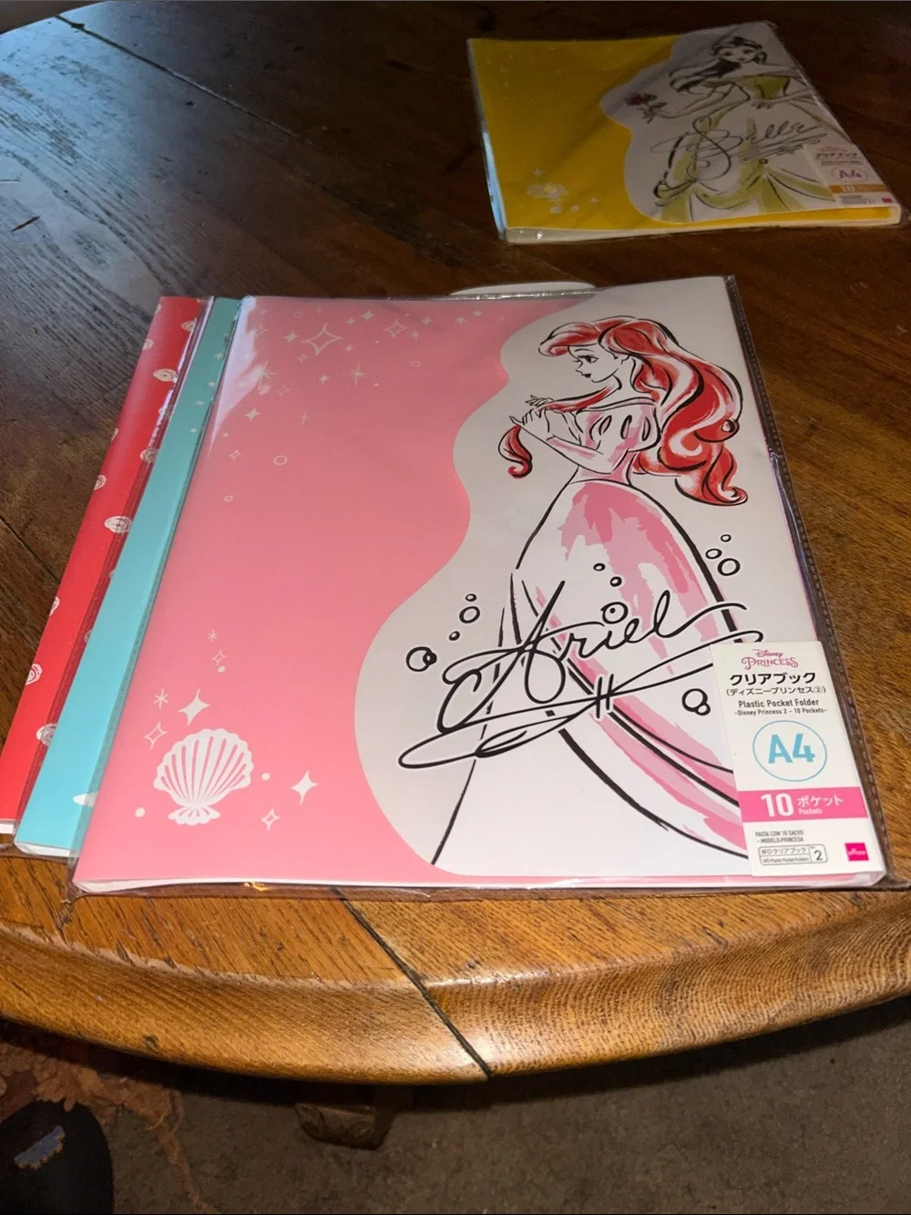 Disney Minnie Mouse & Princesses file folders